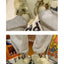 Cozy White Fuzzy Slippers with Antler Design for Women