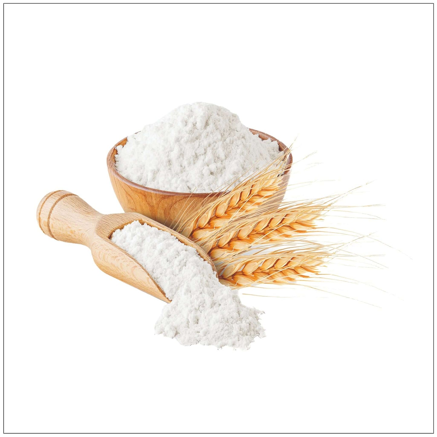 Premium Whole Wheat Flour