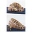 Cinturón de Cuero Ajustable para Mujeres a la Moda