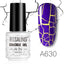 Esmalte de Uñas UV Gel de Secado Rápido Premium - Diseño Agrietado Multicolor