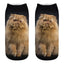 Lindos calcetines tobilleros con impresión 3D de gatitos para hombres y mujeres