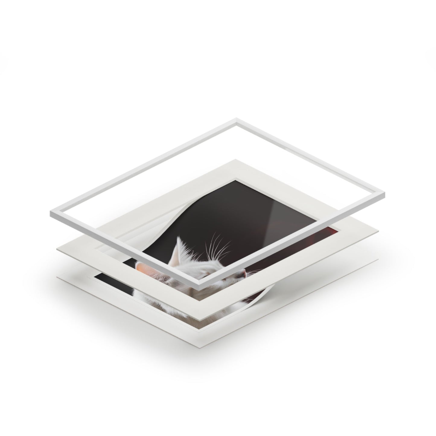 Charming White Cat Art Print with Elegant Passepartout Frame - Korvel