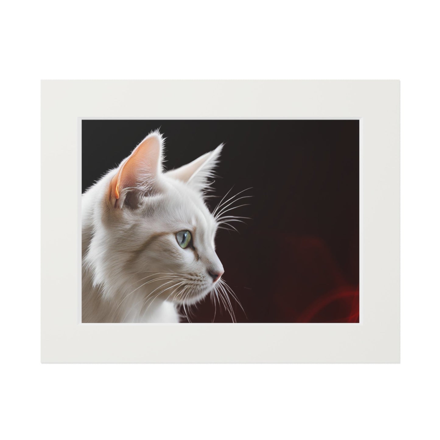 Charming White Cat Art Print with Elegant Passepartout Frame - Korvel