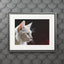 Charming White Cat Art Print with Elegant Passepartout Frame - Korvel