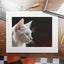 Charming White Cat Art Print with Elegant Passepartout Frame - Korvel