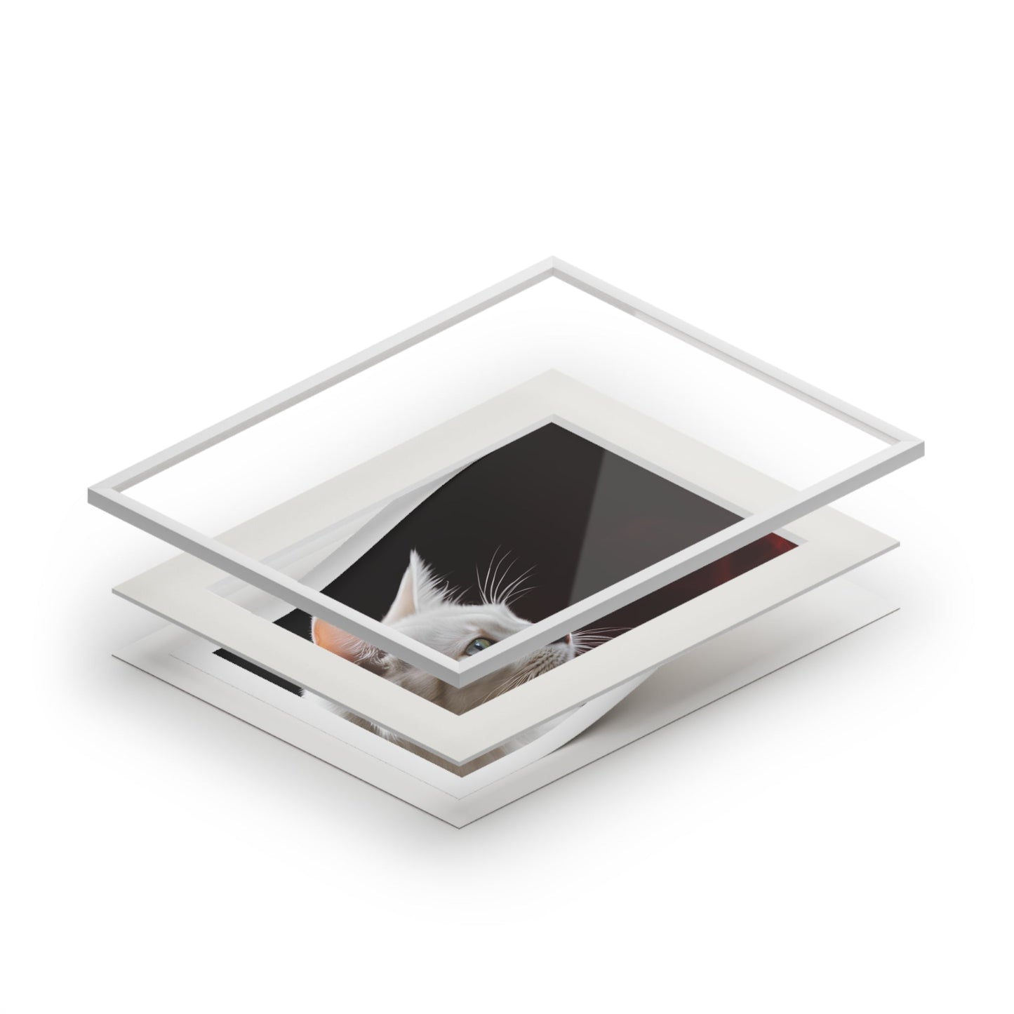 Charming White Cat Art Print with Elegant Passepartout Frame - Korvel