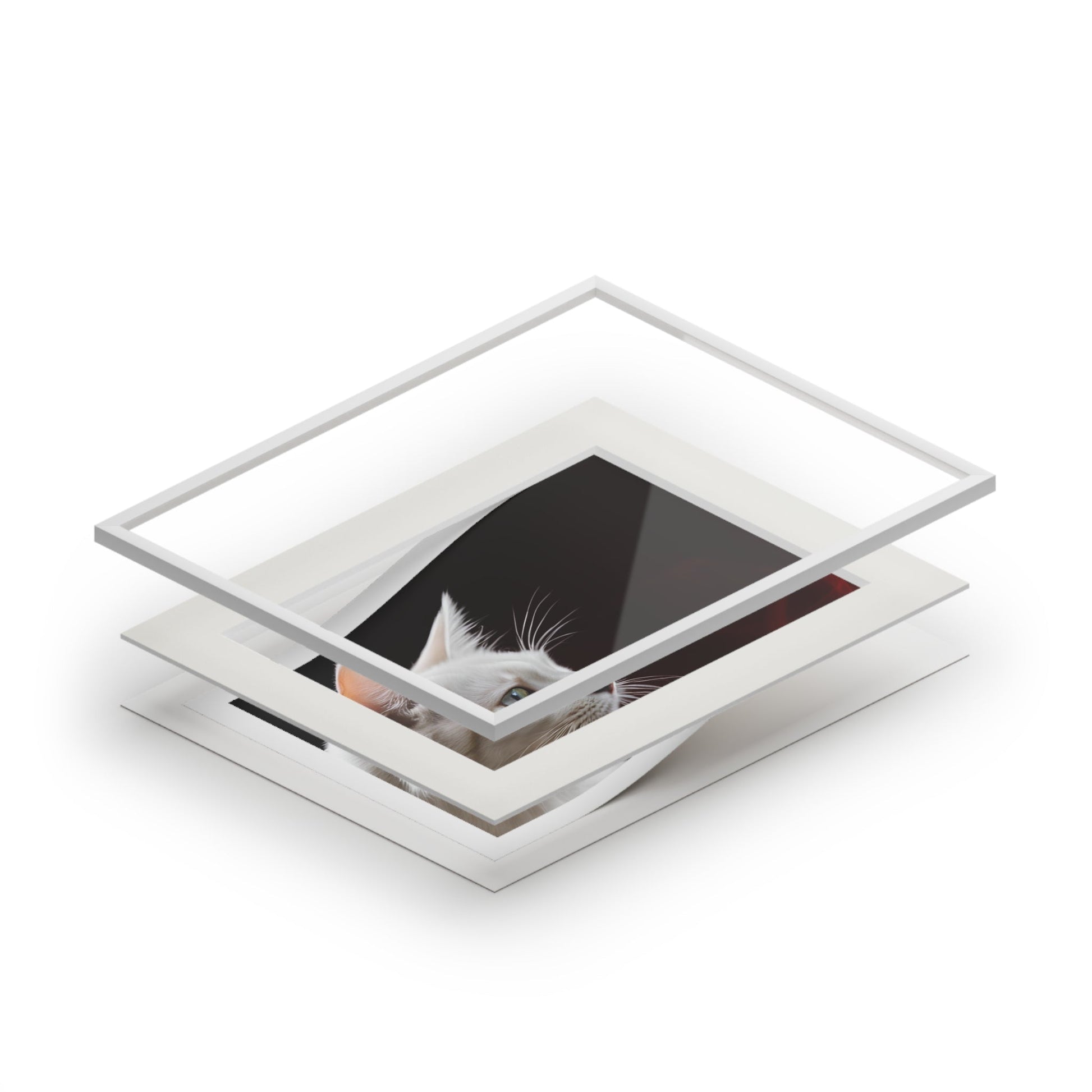 Charming White Cat Art Print with Elegant Passepartout Frame - Korvel