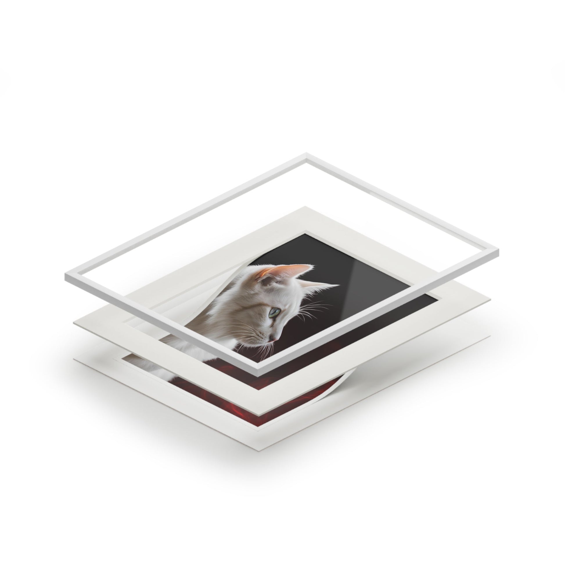 Charming White Cat Art Print with Elegant Passepartout Frame - Korvel