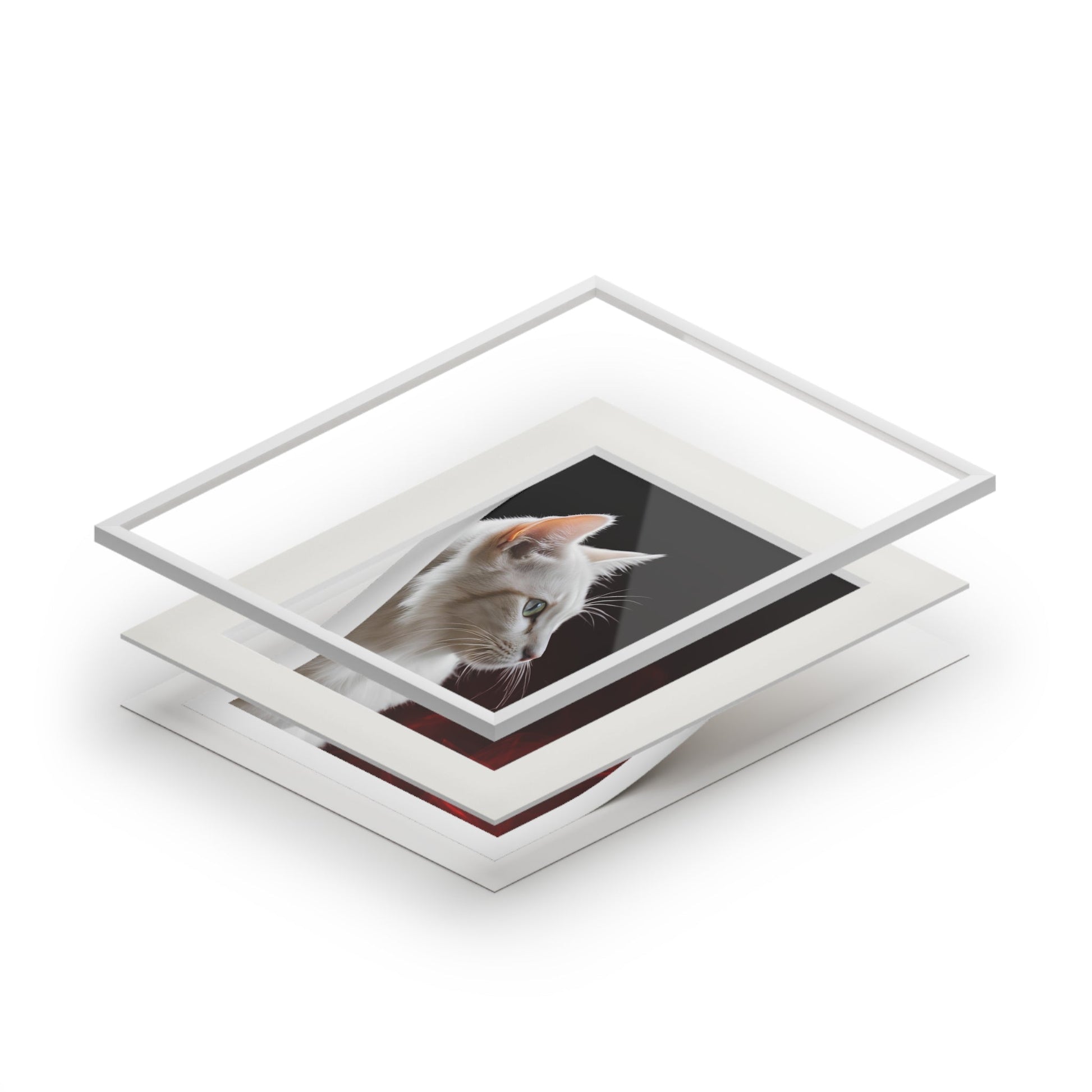 Charming White Cat Art Print with Elegant Passepartout Frame - Korvel