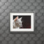Charming White Cat Art Print with Elegant Passepartout Frame - Korvel