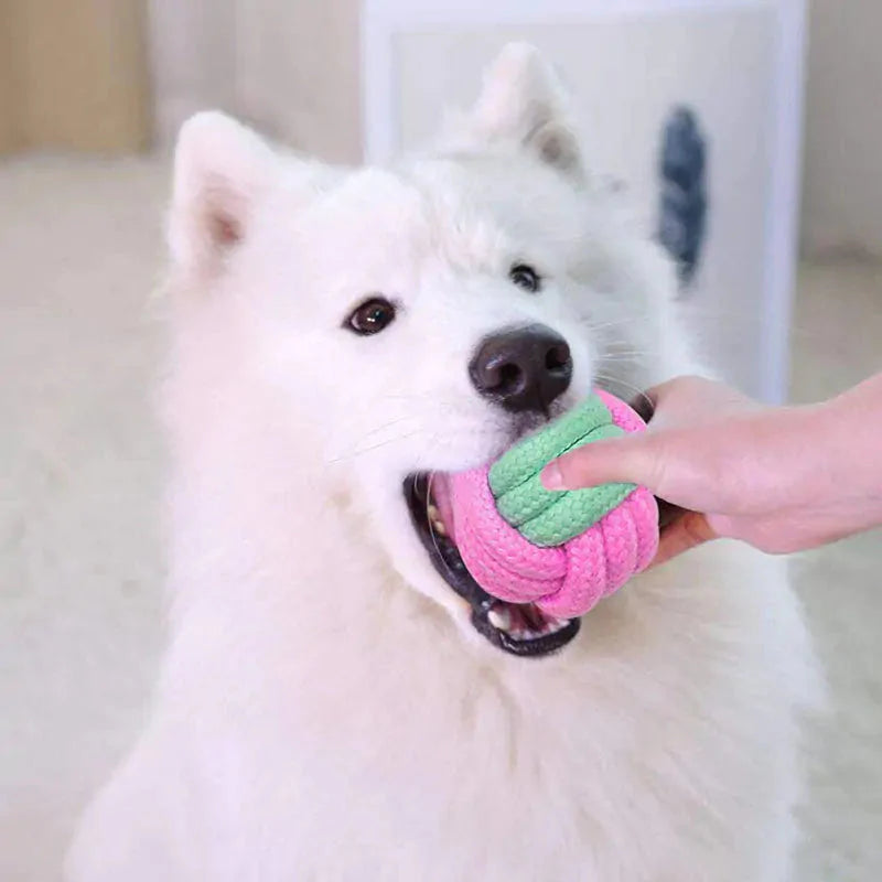 Juguetes de Masticar para Perros Premium para Perros Felices