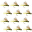 Olive X Caddis Adult Dry Fly - 1 Dozen Size 18 for Trout Fishing - Korvel