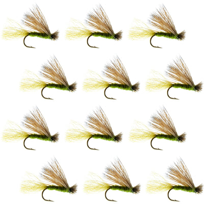 Olive X Caddis Adult Dry Fly - 1 Dozen Size 18 for Trout Fishing - Korvel