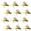 Premium Olive X Caddis Adult Dry Flies - 1 Dozen Size 16 for Trout Fishing - Korvel