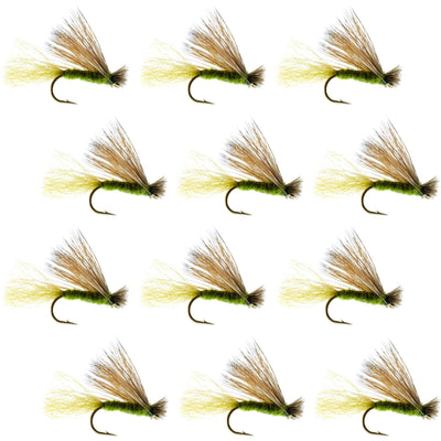 Premium Olive X Caddis Adult Dry Flies - 1 Dozen Size 16 for Trout Fishing - Korvel