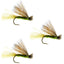 3 Pack Olive X Caddis Adult Dry Fly - Size 16 for Trout Fishing - Korvel
