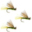 3 Pack Olive X Caddis Adult Dry Fly - Size 14 for Trout Fishing - Korvel