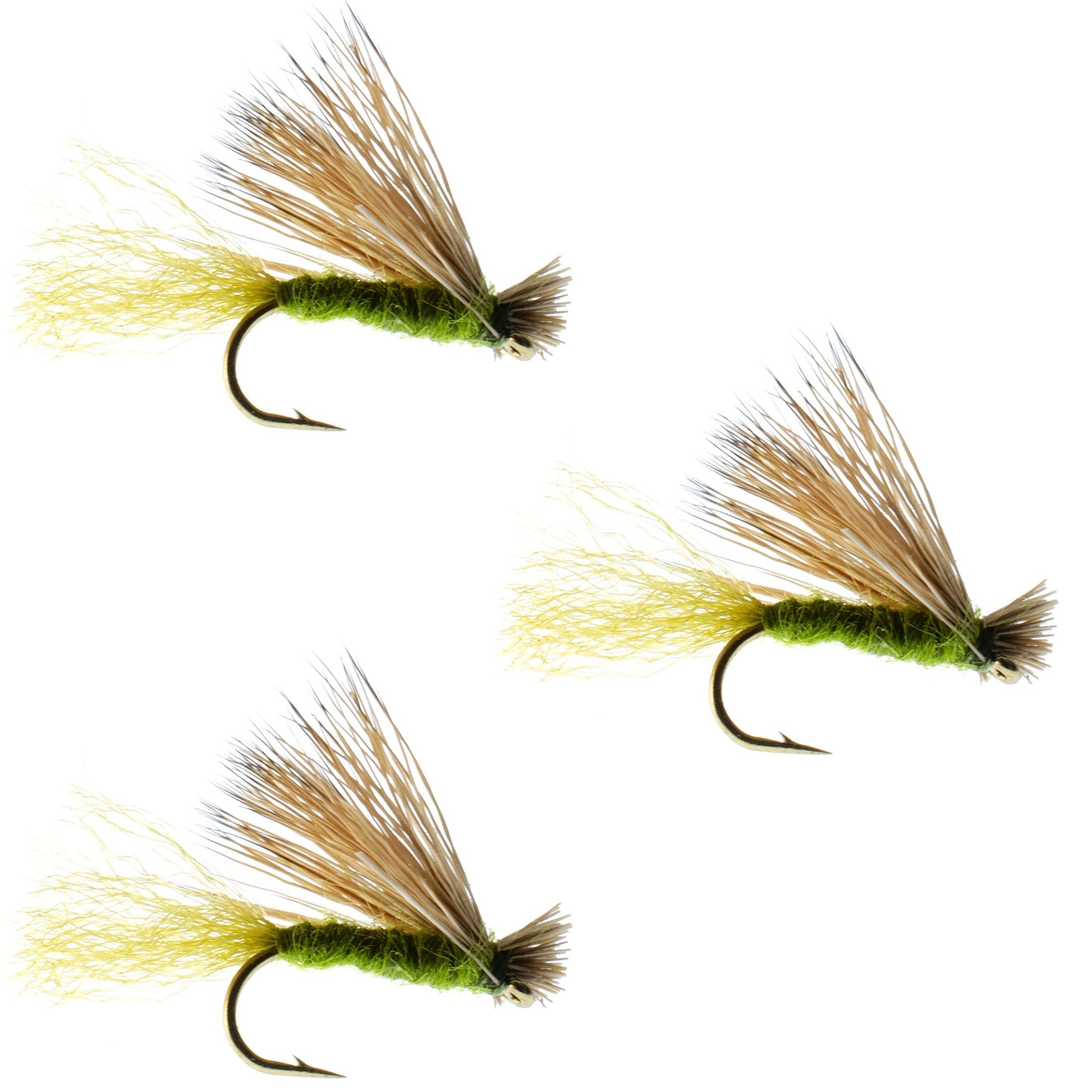 3 Pack Olive X Caddis Adult Dry Fly - Size 14 for Trout Fishing - Korvel