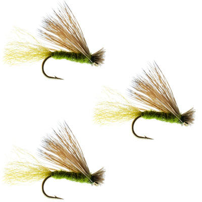 3 Pack Olive X Caddis Adult Dry Fly - Size 14 for Trout Fishing - Korvel