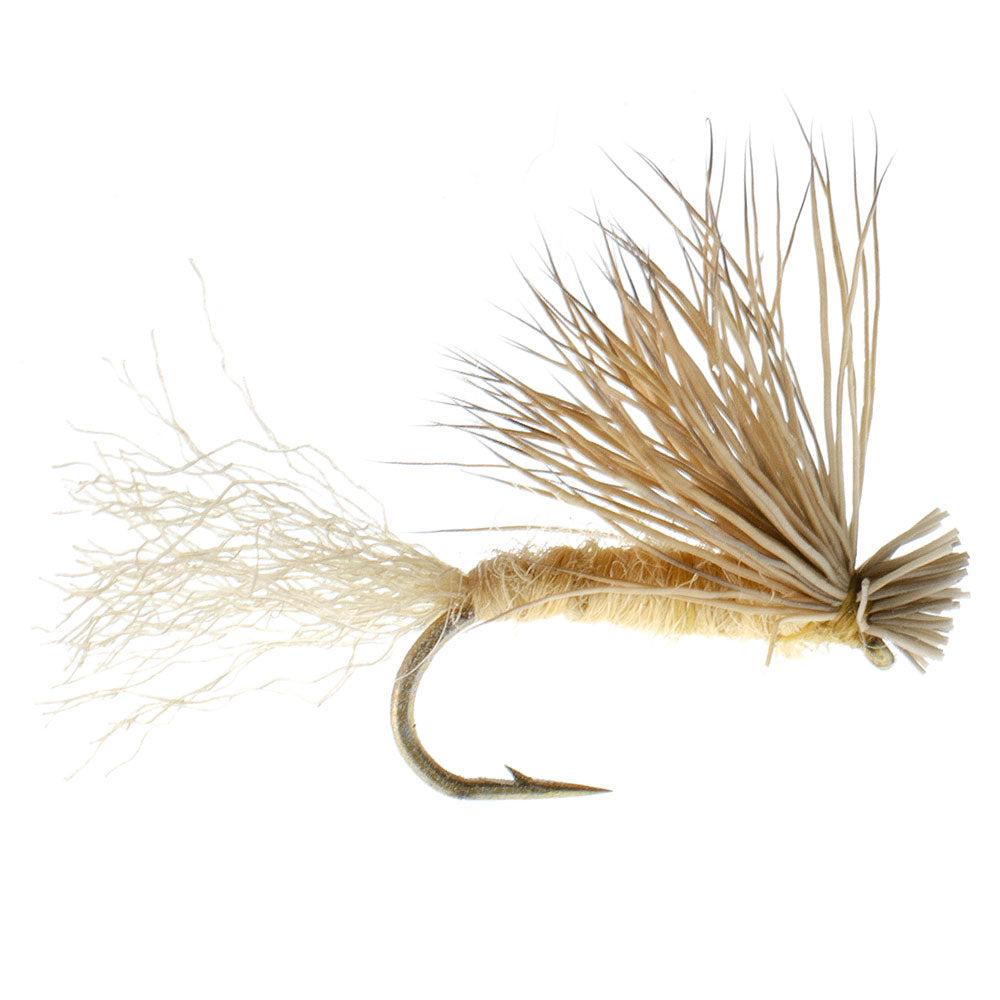 Tan X Caddis Adult Dry Fly - 6 Pack Size 16 for Trout Fishing - Korvel