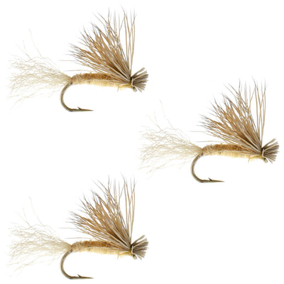 3-Pack Tan X Caddis Adult Dry Fly - Size 16 for Trout Fishing - Korvel