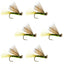 Olive X Caddis Emerging Caddis Adult Trout Dry Fly - 6 Flies Hook Size 14