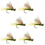 Olive X Caddis Adult Dry Fly - 6 Pack Size 16 for Trout Fishing - Korvel