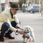 Premium Automatic Anti-Bark Control Collar for Dogs