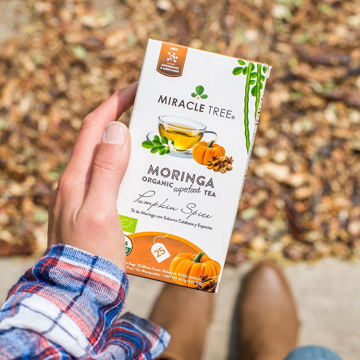 Thé Moringa Bio avec Épices de Citrouille