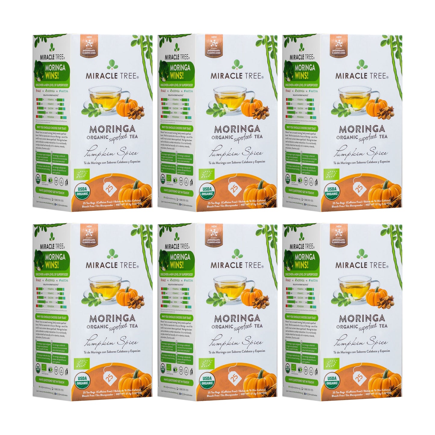 Thé Moringa Bio avec Épices de Citrouille