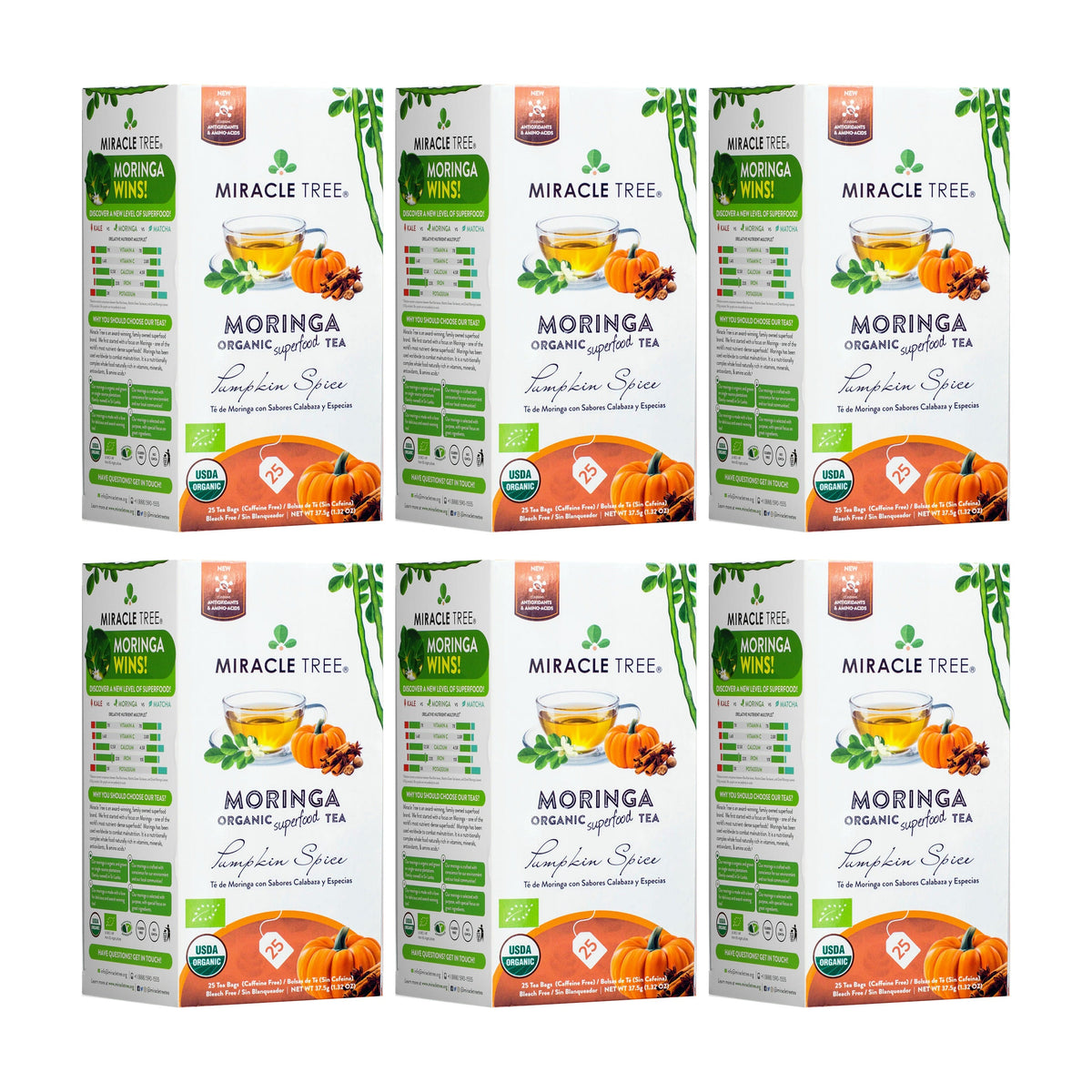 Thé Moringa Bio avec Épices de Citrouille