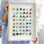 The Grand Botanical Mosaic - 48-Grid Real Specimen Shadow Box Art