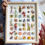 The Grand Botanical Mosaic - 48-Grid Real Specimen Shadow Box Art