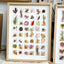 The Grand Botanical Mosaic - 48-Grid Real Specimen Shadow Box Art