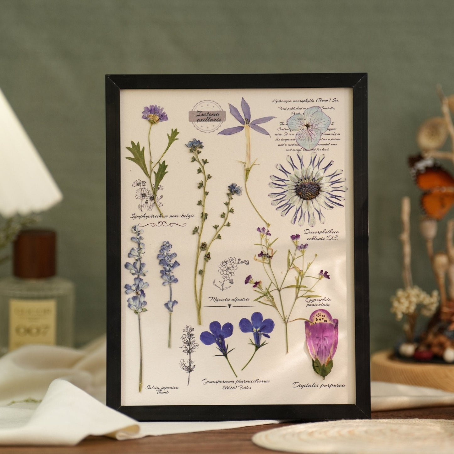 "El Diario del Botánico" - Marcos de Arte con Flores Prensadas Reales