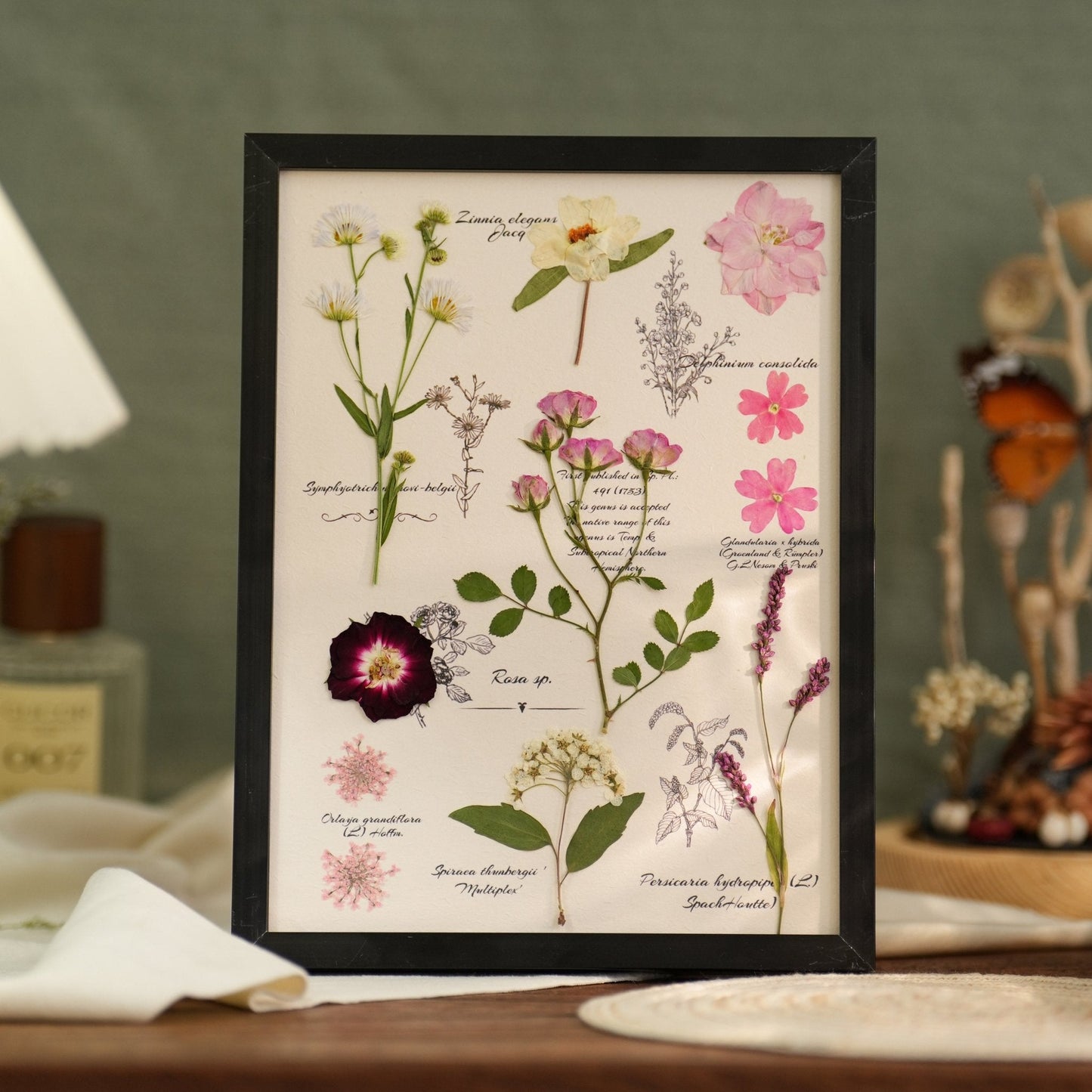 "El Diario del Botánico" - Marcos de Arte con Flores Prensadas Reales