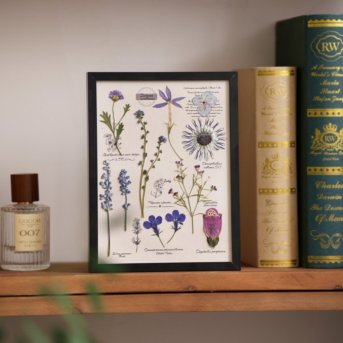 "El Diario del Botánico" - Marcos de Arte con Flores Prensadas Reales
