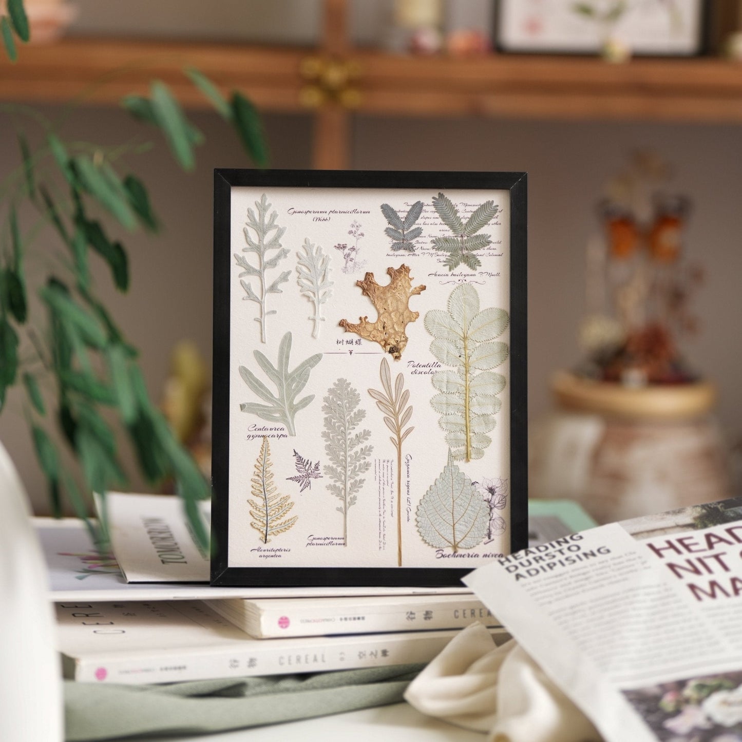 "El Diario del Botánico" - Marcos de Arte con Flores Prensadas Reales