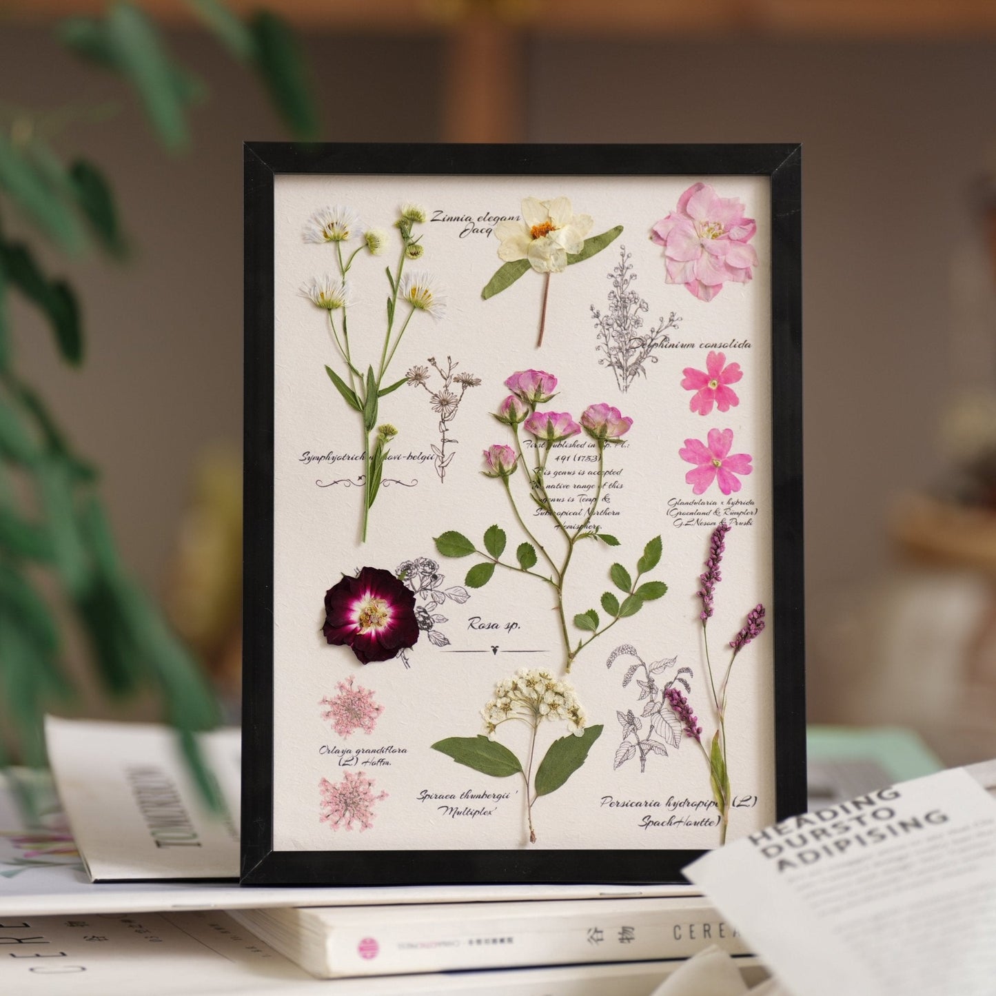 "El Diario del Botánico" - Marcos de Arte con Flores Prensadas Reales