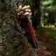Handmade Chacha Oleander Seed Pod Wooden Handle Shaker