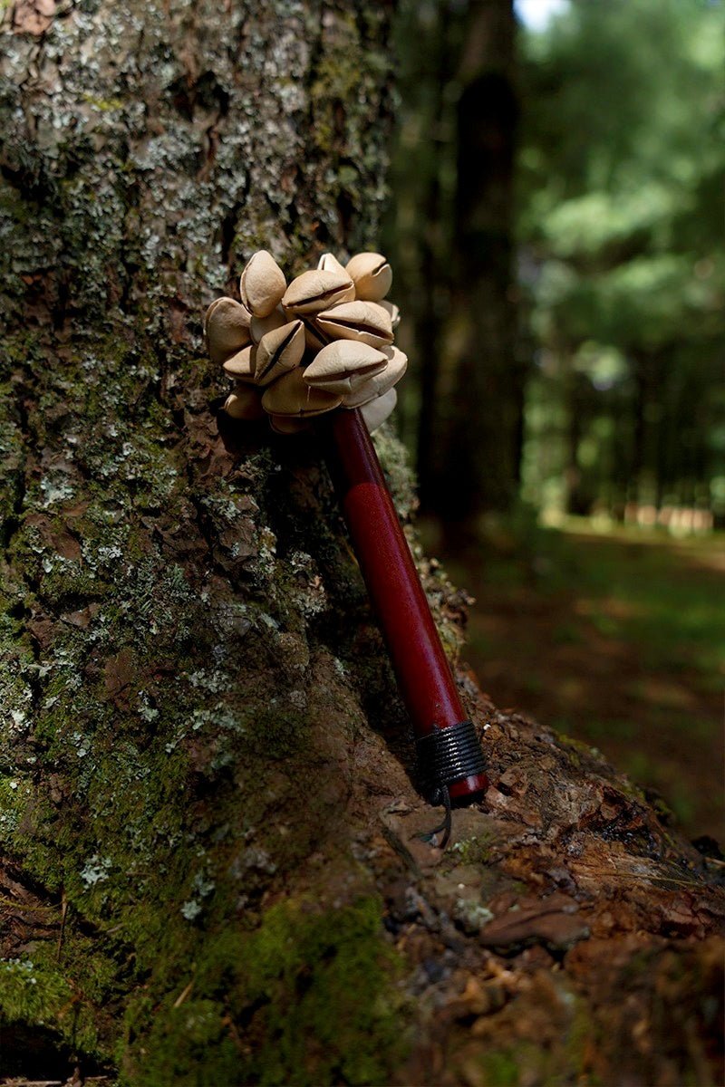 Handmade Chacha Oleander Seed Pod Wooden Handle Shaker