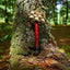 Shaker en bois avec gousse de graine d'oleander Chacha fait main
