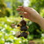 The Deep Woods Rattle - Dark Nut & Hollow Pod Cluster Charm