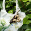 The Deep Woods Rattle - Dark Nut & Hollow Pod Cluster Charm