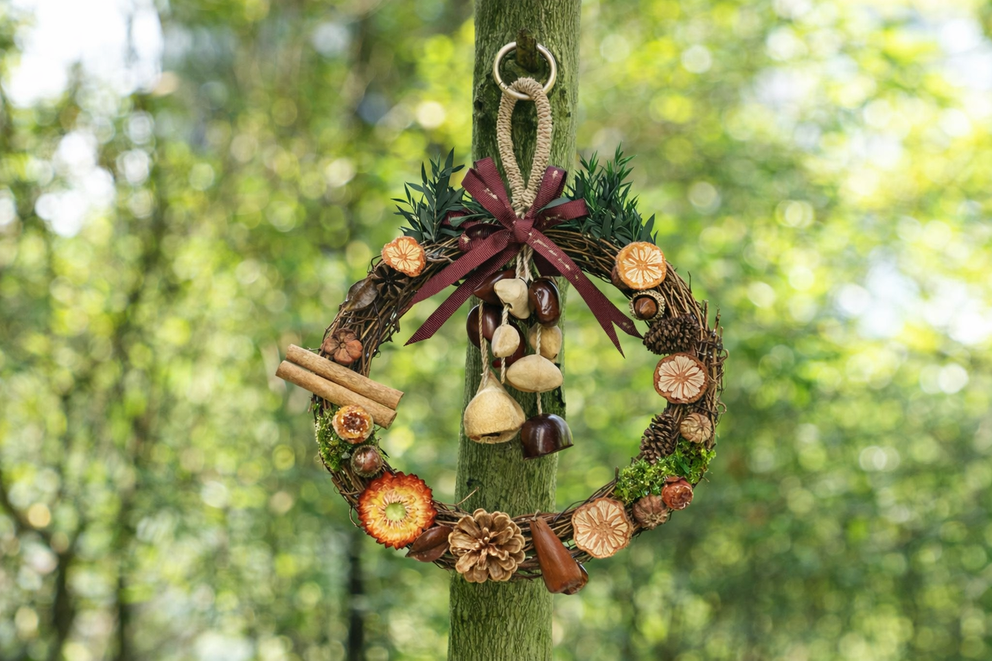 La Corona Festiva del Bosque - Corona de Vid Natural con Cítricos Secos y Canela