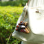 The Forest Bell - Natural Seed Cluster Charm with Beige Handle