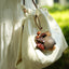 The Forest Bell - Natural Seed Cluster Charm with Beige Handle