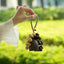 The Forest Bell - Natural Seed Cluster Charm with Beige Handle