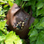 The Forest Harvest - Cascading Nut Shell & Green Tassel Bag Charm