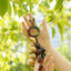 The Forest Harvest - Cascading Nut Shell & Green Tassel Bag Charm